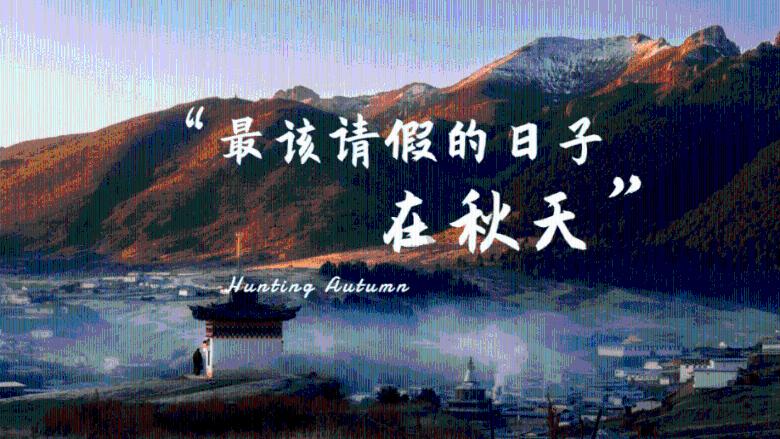 僵尸任务